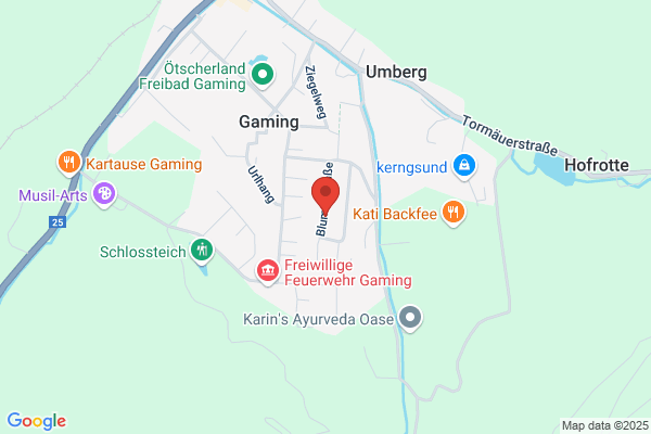 Askoe Gaming Sektion Tennis Alfred Dauer