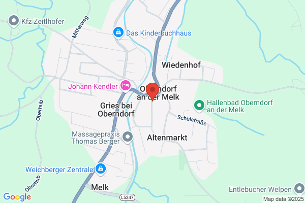 Dollfuß Elektro GmbH
