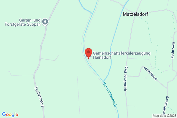 Gemeinschaftsferkelerzeugung Hainsdorf GmbH