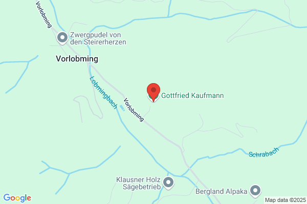 Gottfried Kaufmann