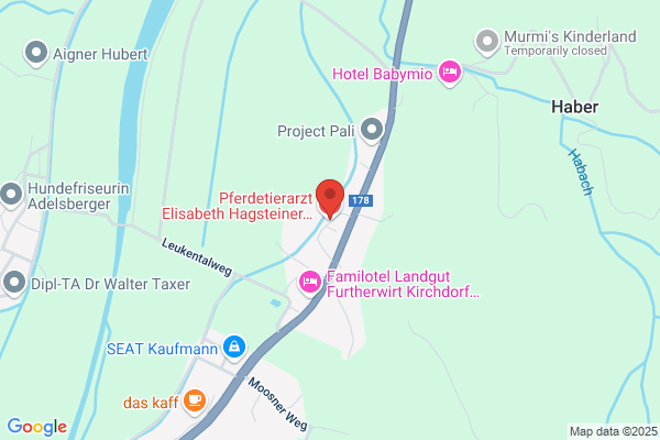 Pferdetierarzt Elisabeth Hagsteiner - Kirchdorf in Tirol