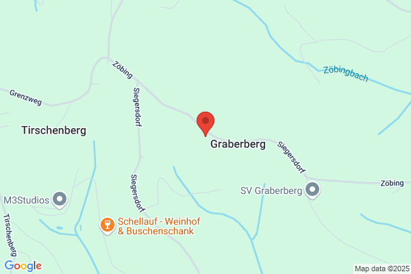 Steiner GmbH und Co KG