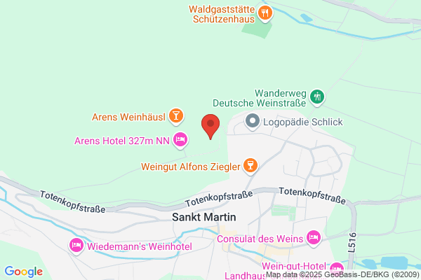 Sportverein St.Martin