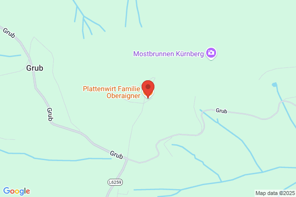 Gasthaus z Kaiserin Elisabethwarte - Plattenwirt
