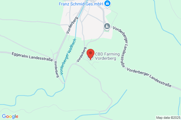 Ing. Jakob Strafner