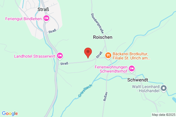 Holzspecht Pillersee / Josef Waltl Forstservice
