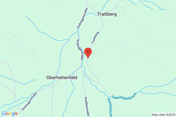 Verein Leben in der Grossfamilie