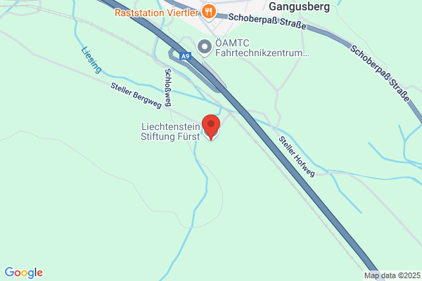 Liechtenstein Stiftung Fuerst