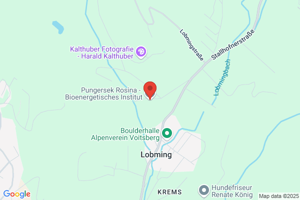 Pungersek Rosina - Bioenergetisches Institut