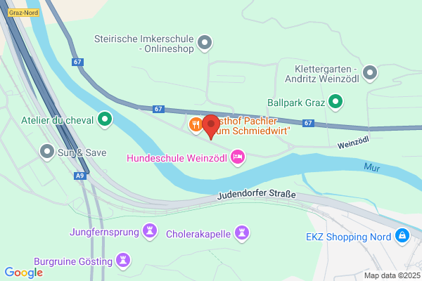 Prosinger's Himbeergaerten