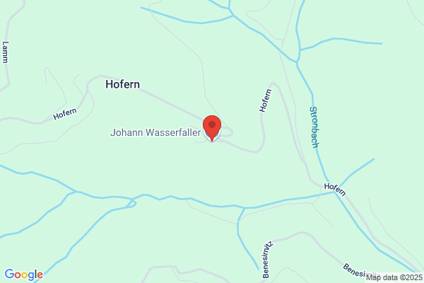 Johann Wasserfaller
