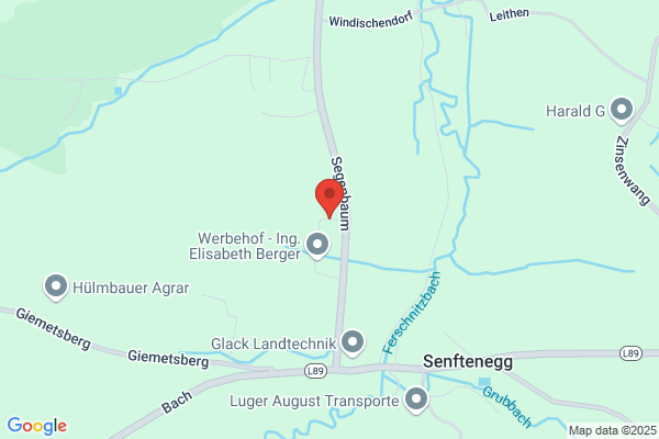 Stubenmusik Berger