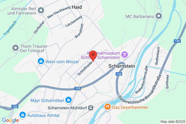 Wirtschaftstreuhänder - Mag. Alois Schober