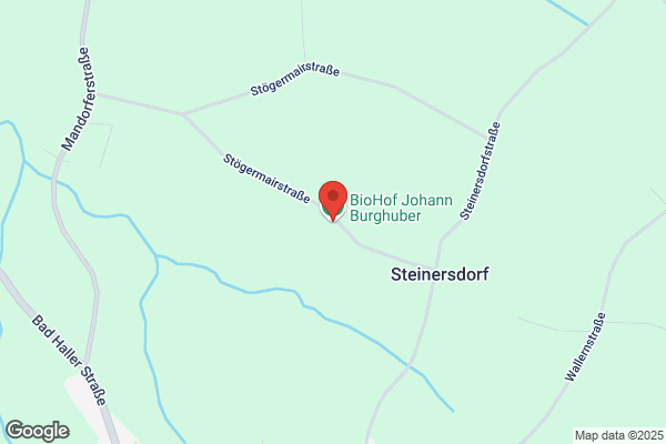 Burghuber und Raindl OEG
