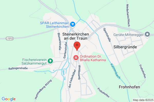 Musikschule Steinerkirchen