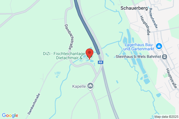 Die Reisinger Forelle