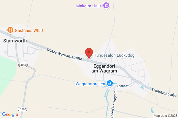 Hundesalon Luckydog