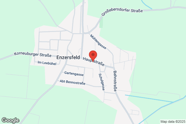 Zwanzinger Franz