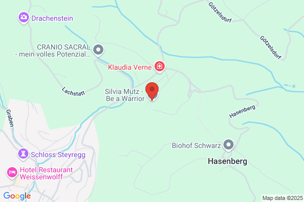 SBK Consulting - Spindler, Buchinger OEG