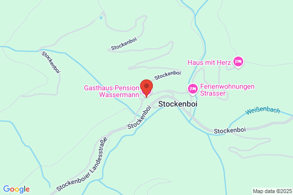 Gasthaus-Pension Wassermann