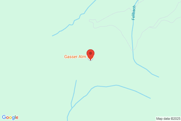 Georg Gasser