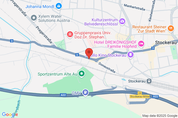 Stoeckelmaier Johann Mag - SV f Kunst und Antiquitaeten
