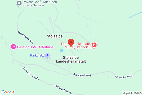 Freiwillige Feuerwehr
