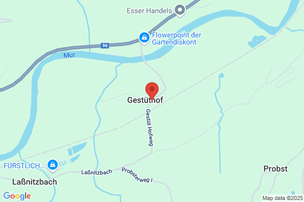 Schwarzenbergsche Forstdirektion