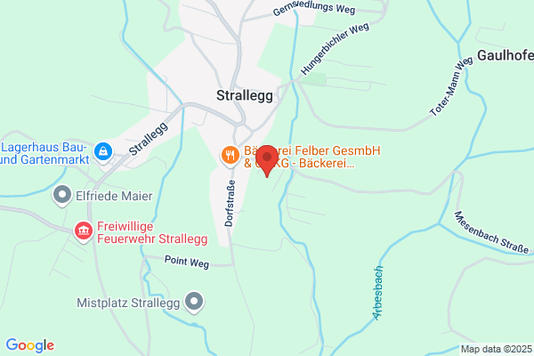 Teater Gruppe Strallegg