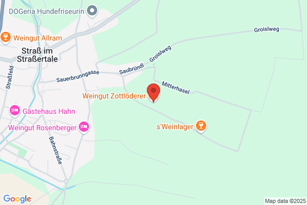 Zottloederer Franz