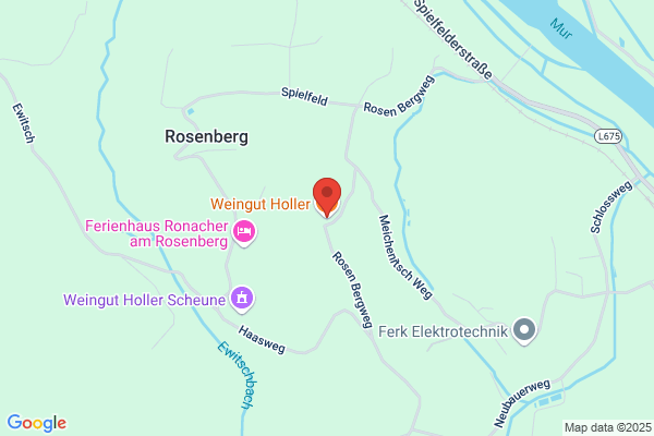 Weingut Holler