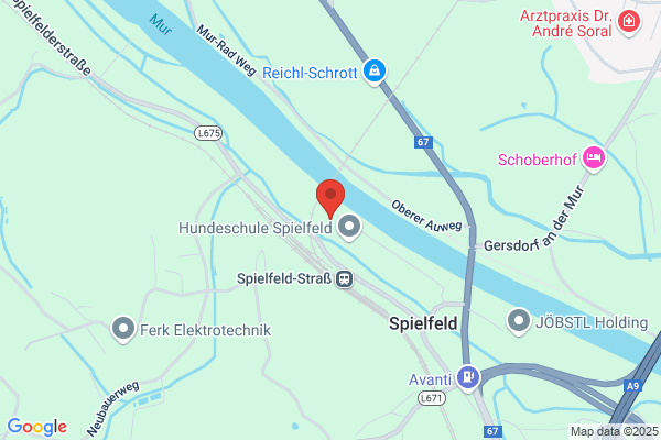 SV Spielfeld