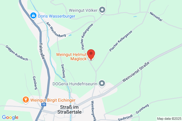 Maglock Johann