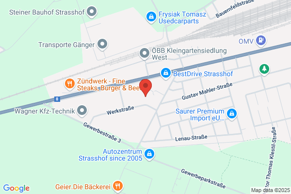 Ollinger Gerhard GesmbH