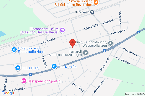 PIU Gesellschaft f. programm. InstruktionGes.mbH