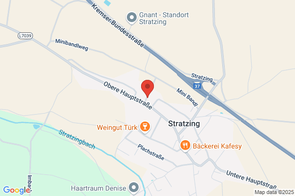 Leibl Wolfgang Prim Dr