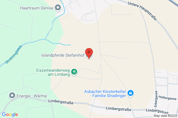 ROBEK Islandpferde STEFANIHOF