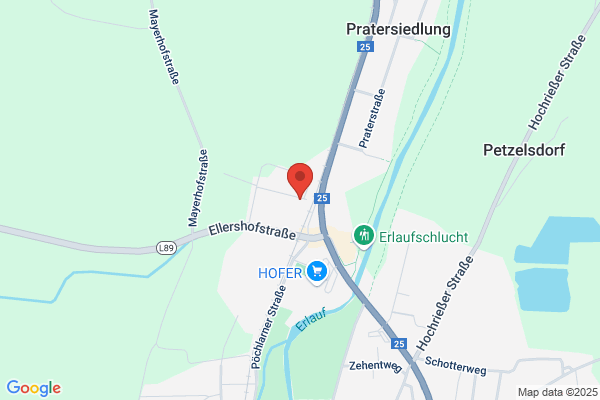 Noe Nachrichten