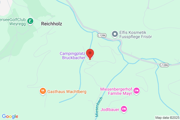 Rosemarie Bruckbacher