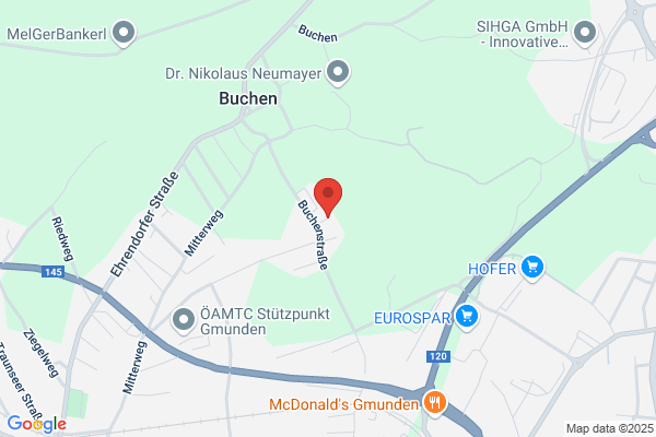 Goldhauben- und Kopftuchfrauen