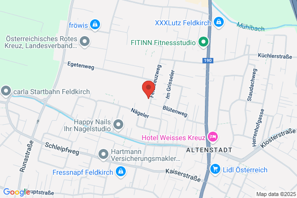 Lackinger Gerhard GmbH Ingenieurbüro für Vermessung  Infrastruktur  Informatik