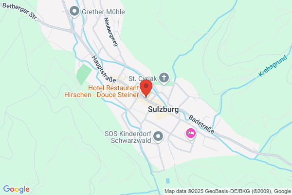 Haus Steiner
