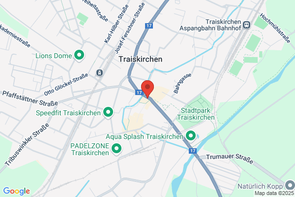 Tichy Nikolaus N.T. Datenverarbeitung