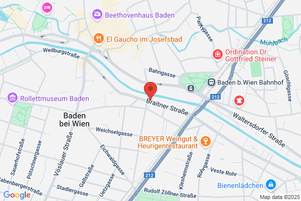 Prof. Dr. Guenther Reiffenstuhl