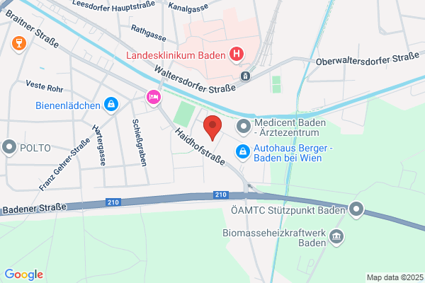 Badener Grafik
