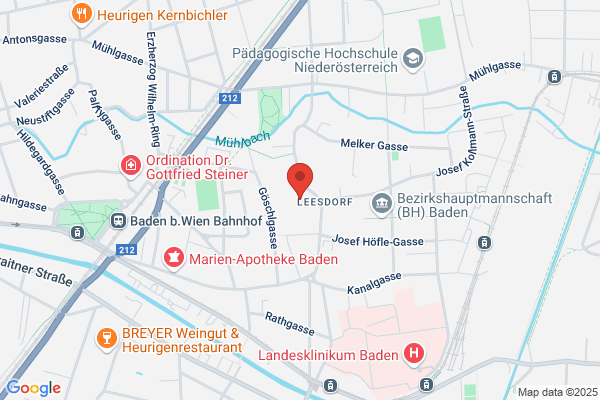 HTL Baden Malerschule Leesdorf