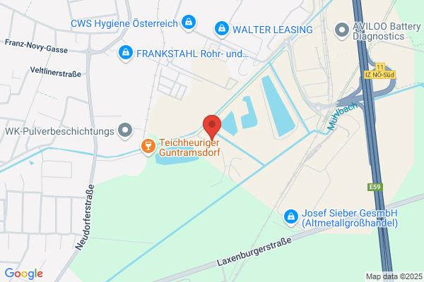 Georg Halwachs