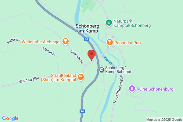 Leopold Franz