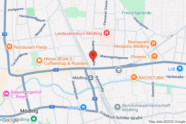 RC Ria Moedlinger Radsport- freunde Dixi-Team - Kaumy - Fialik