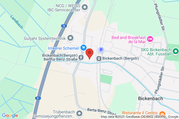 Dekorateurin Schernhammer Regina